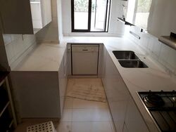 The Balmoral (D10), Condominium #516944971